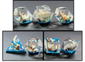 1 D20 Jumbo + 1 Full Set  -10%