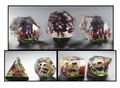 Beholder Dice Set
